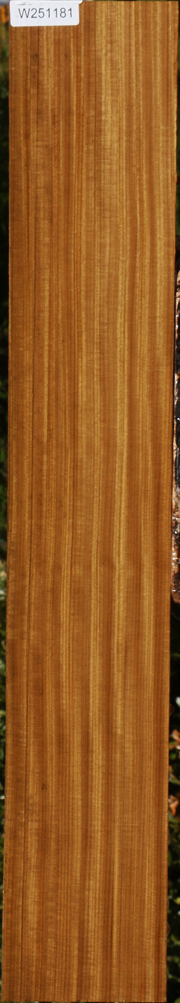 Extra Fancy Quartersawn Afrormosia Lumber