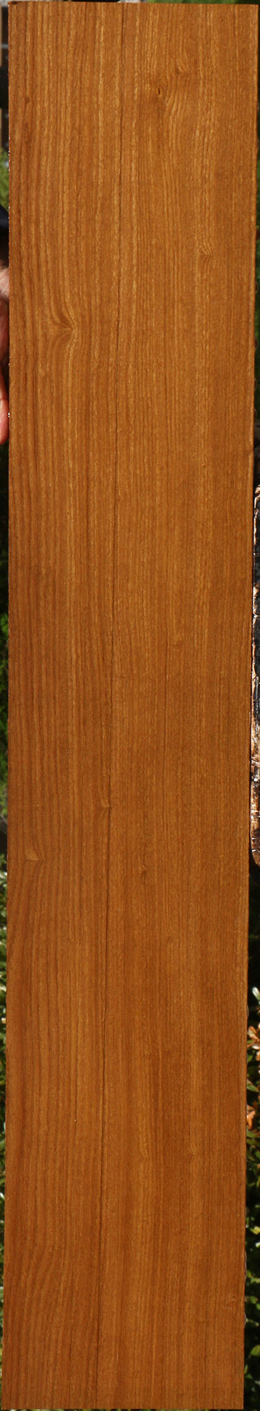 Afrormosia Lumber