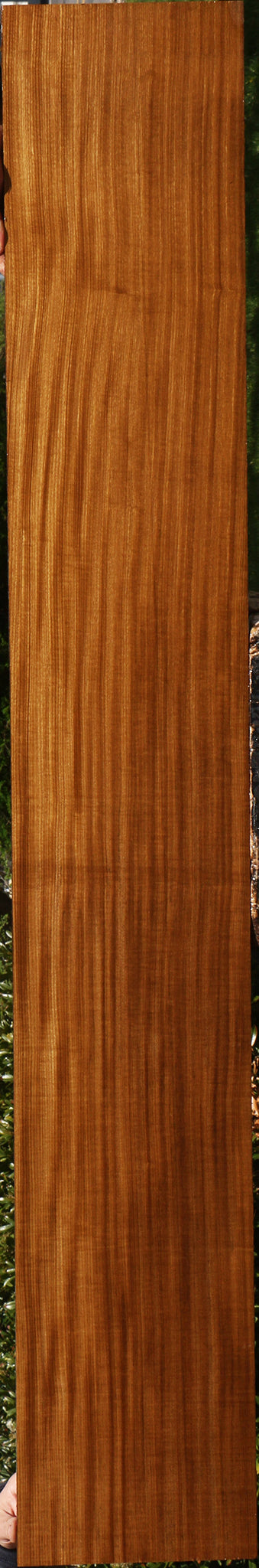 Figured Quartersawn Afrormosia Lumber