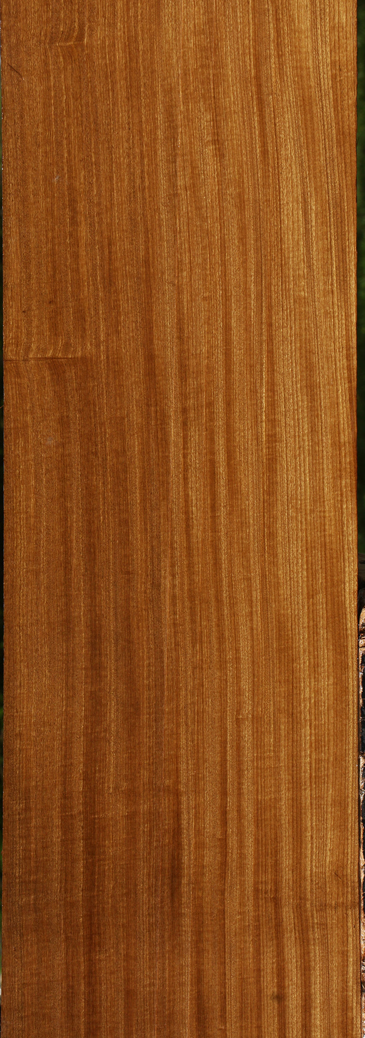 Figured Quartersawn Afrormosia Lumber