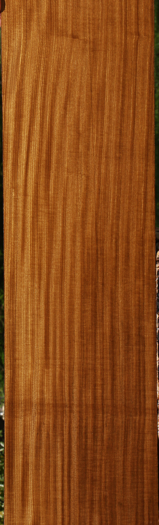Figured Quartersawn Afrormosia Lumber
