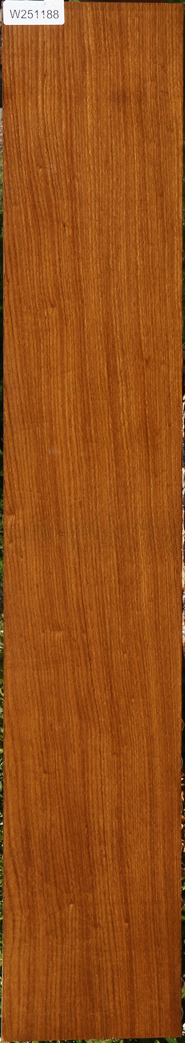Afrormosia Lumber