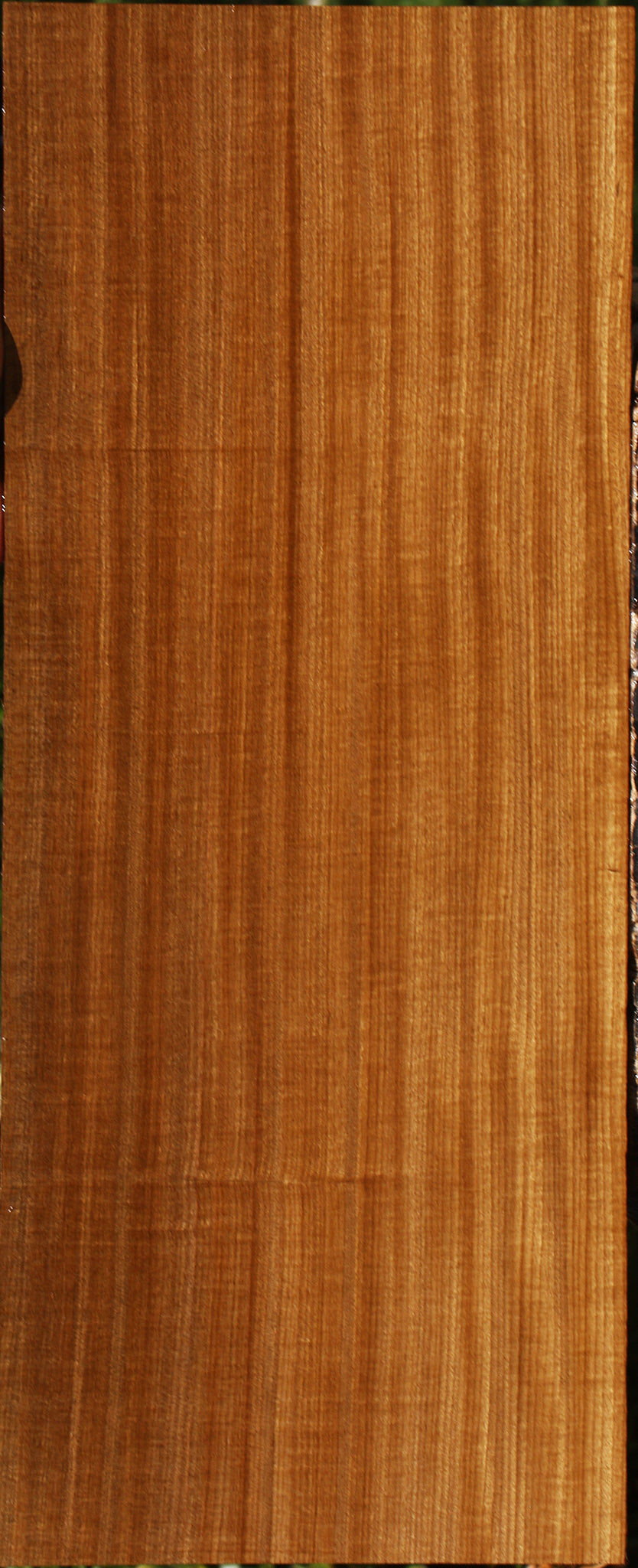 Extra Fancy Quartersawn Afrormosia Lumber