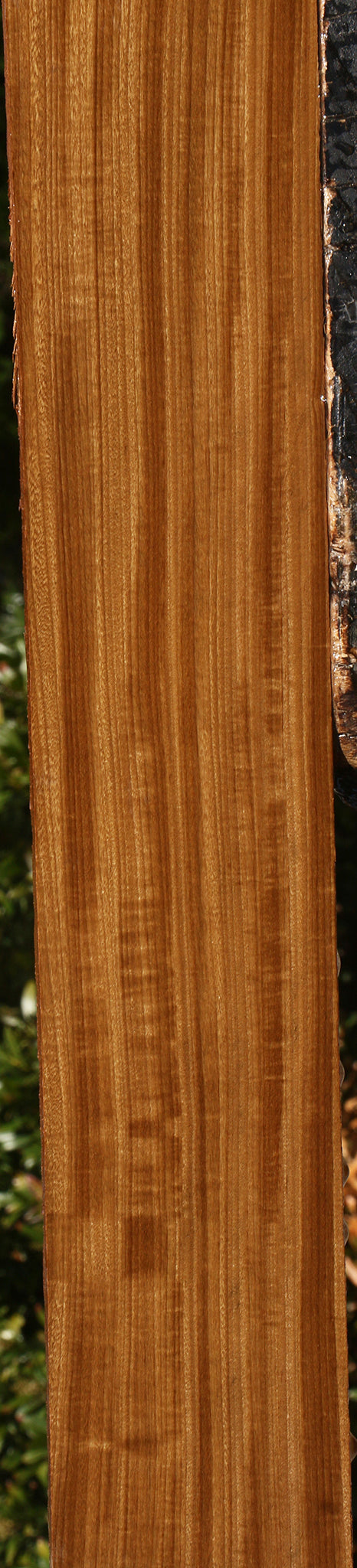 Extra Fancy Afrormosia Lumber