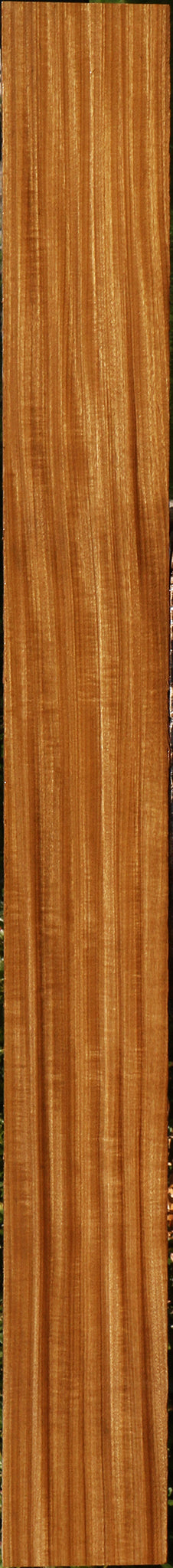 Extra Fancy Afrormosia Lumber