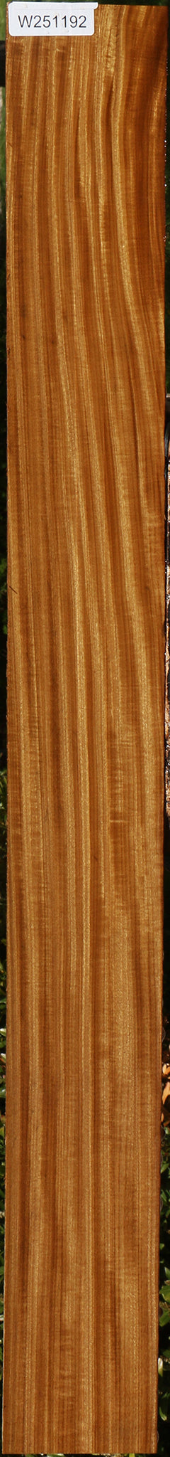 Figured Afrormosia Lumber