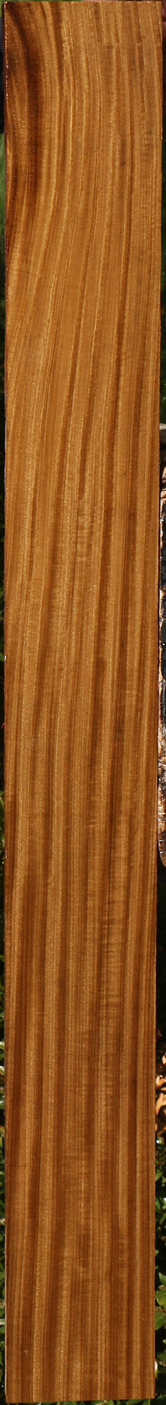 Figured Afrormosia Lumber