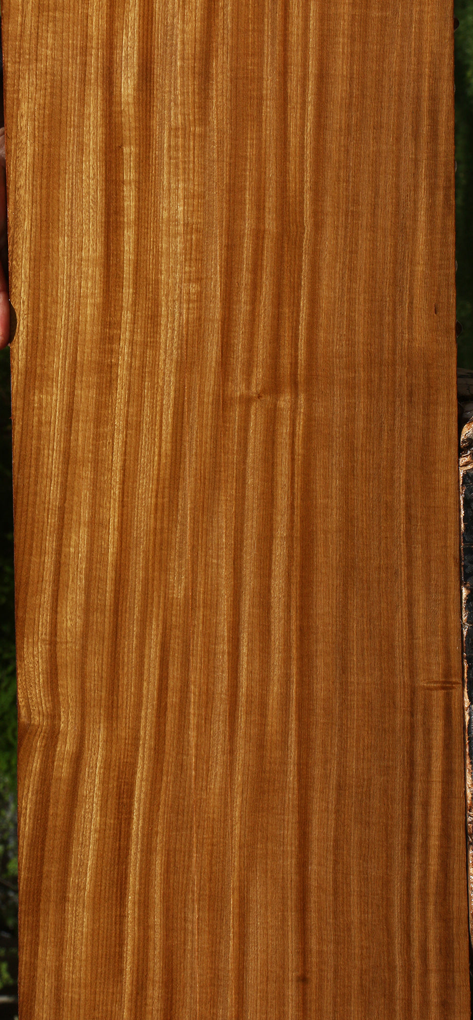 Extra Fancy Quartersawn Afrormosia Lumber