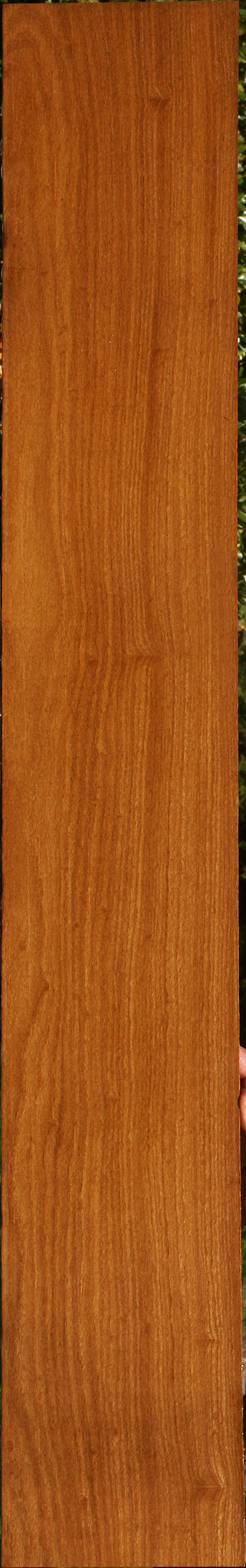Afrormosia Lumber