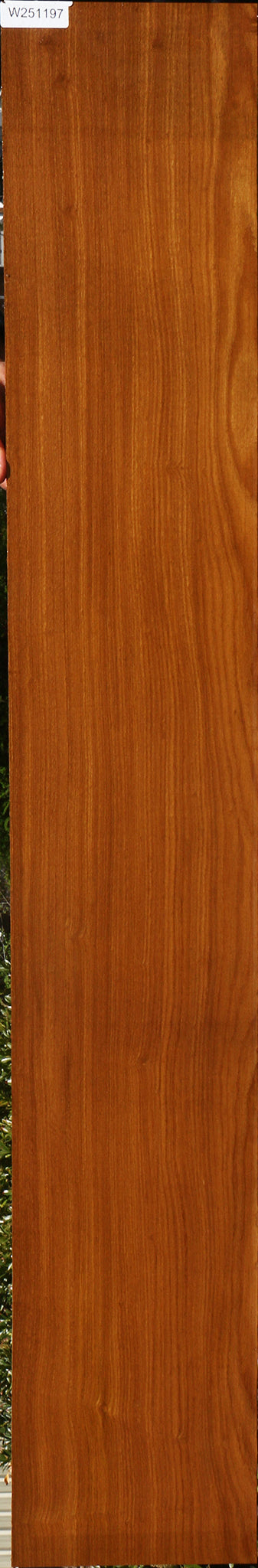 Figured Afrormosia Lumber