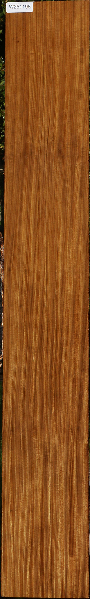 Extra Fancy Quartersawn Afrormosia Lumber