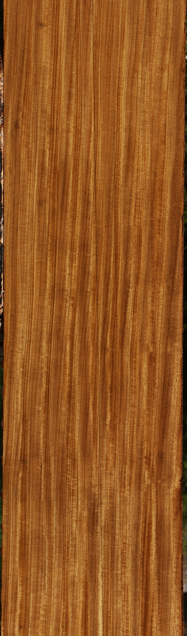 Extra Fancy Quartersawn Afrormosia Lumber