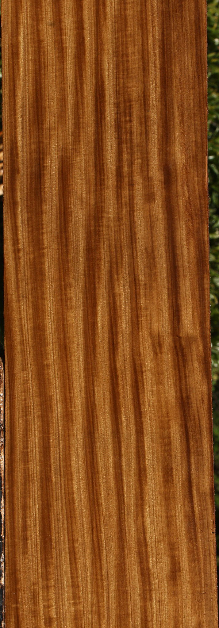 Extra Fancy Quartersawn Afrormosia Lumber