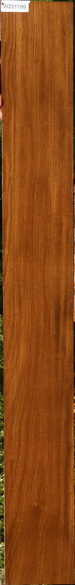 Figured Pomelle Afrormosia Lumber