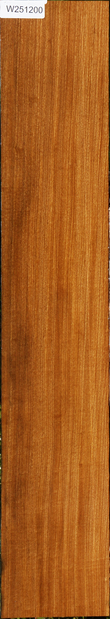 Figured Quartersawn Afrormosia Lumber