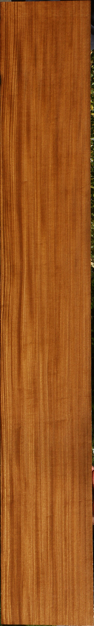 Figured Quartersawn Afrormosia Lumber