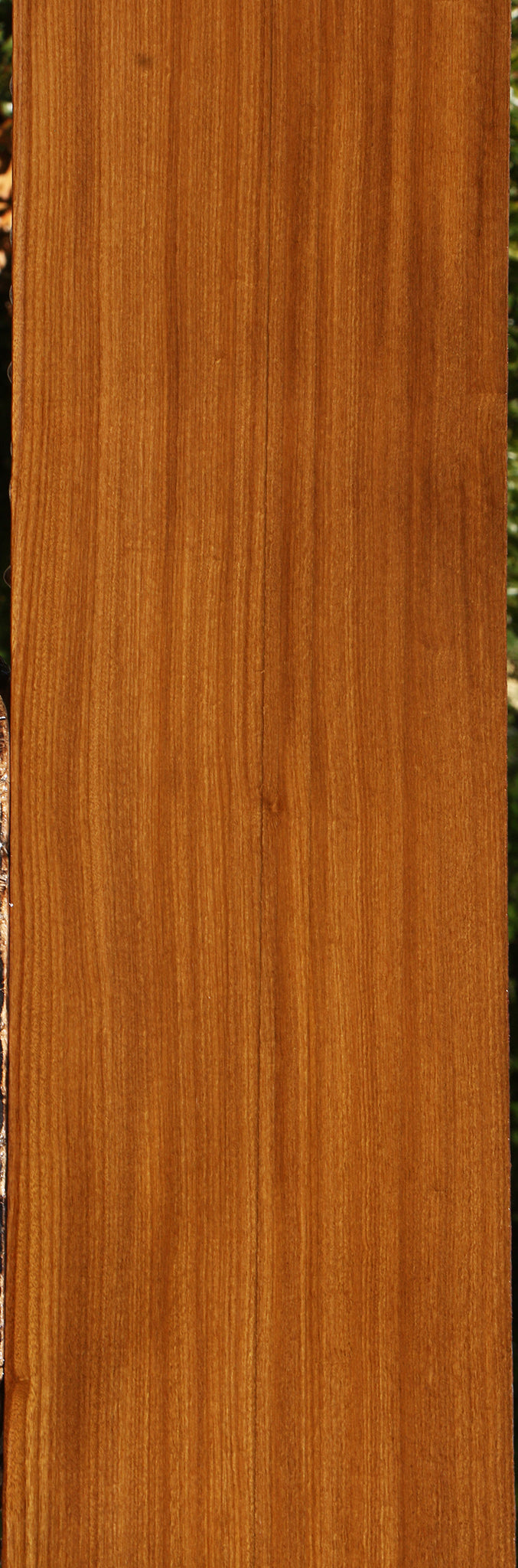 Figured Quartersawn Afrormosia Lumber