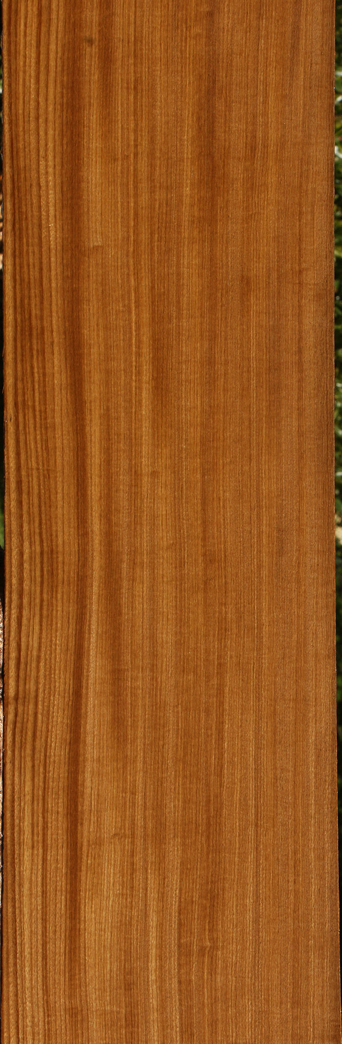 Figured Quartersawn Afrormosia Lumber