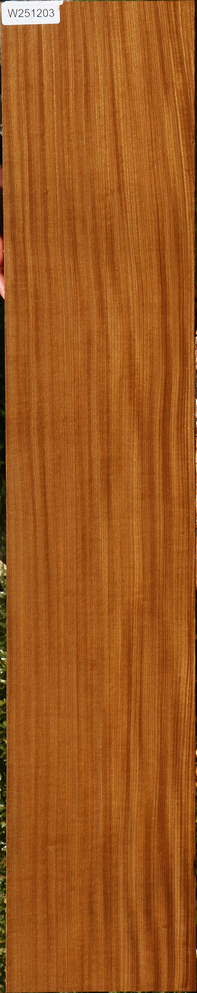 Afrormosia Lumber