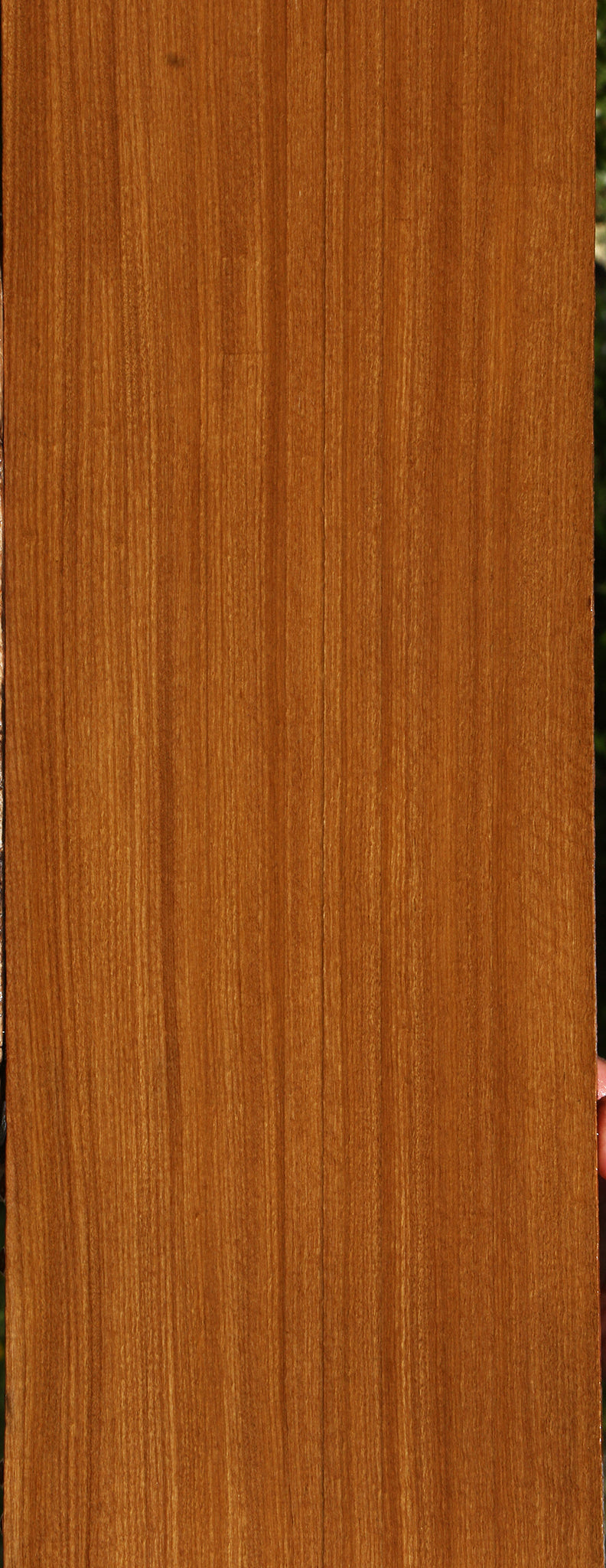 Afrormosia Lumber