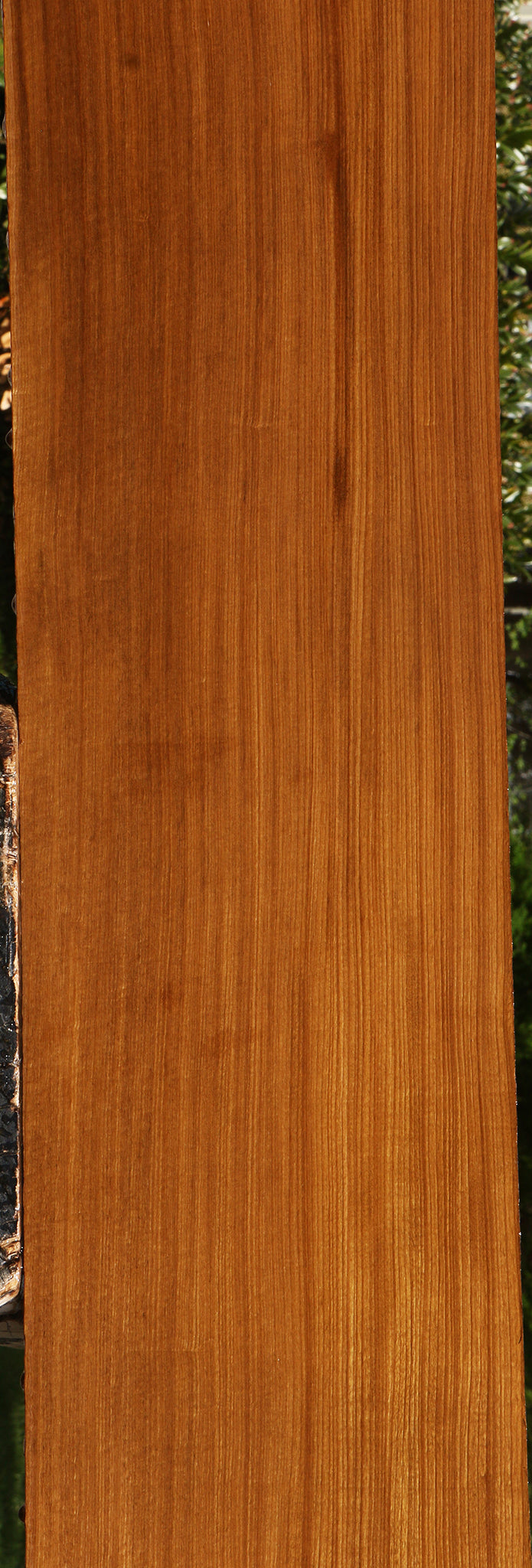 Figured Quartersawn Afrormosia Lumber