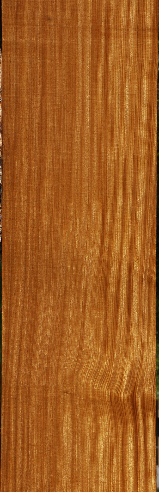 Extra Fancy Quartersawn Afrormosia Lumber