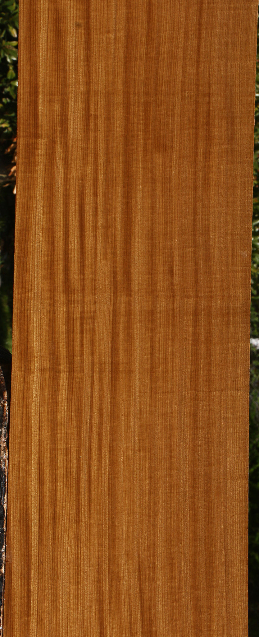 Extra Fancy Quartersawn Afrormosia Lumber