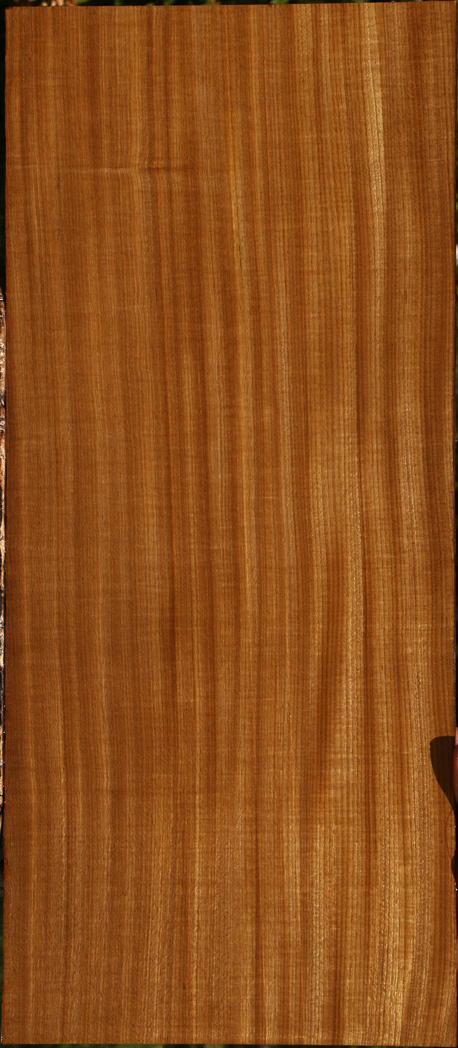 Extra Fancy Quartersawn Afrormosia Lumber