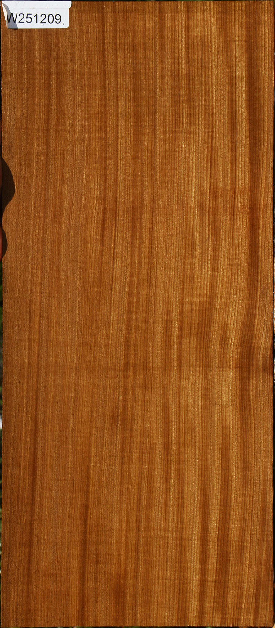 Extra Fancy Quartersawn Afrormosia Lumber