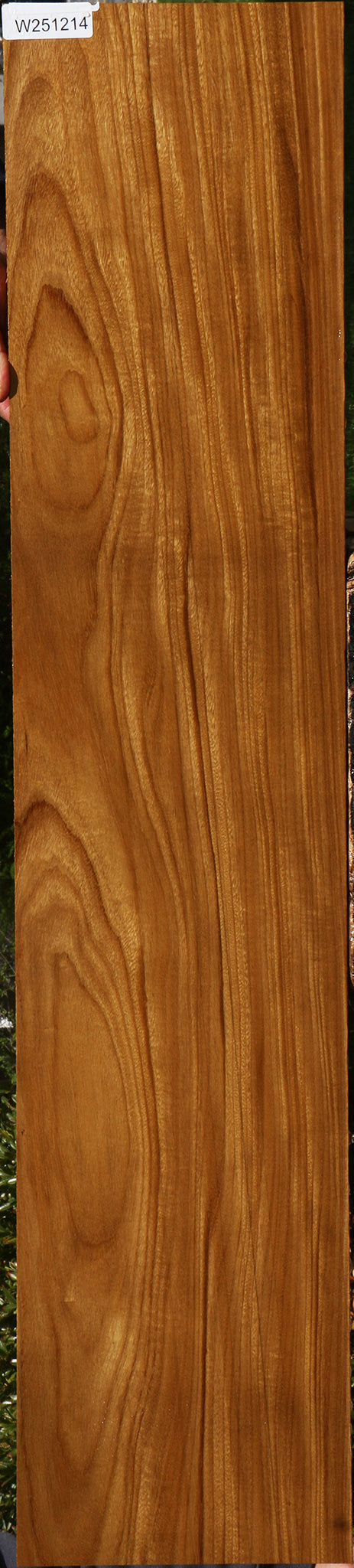 Figured Afrormosia Lumber