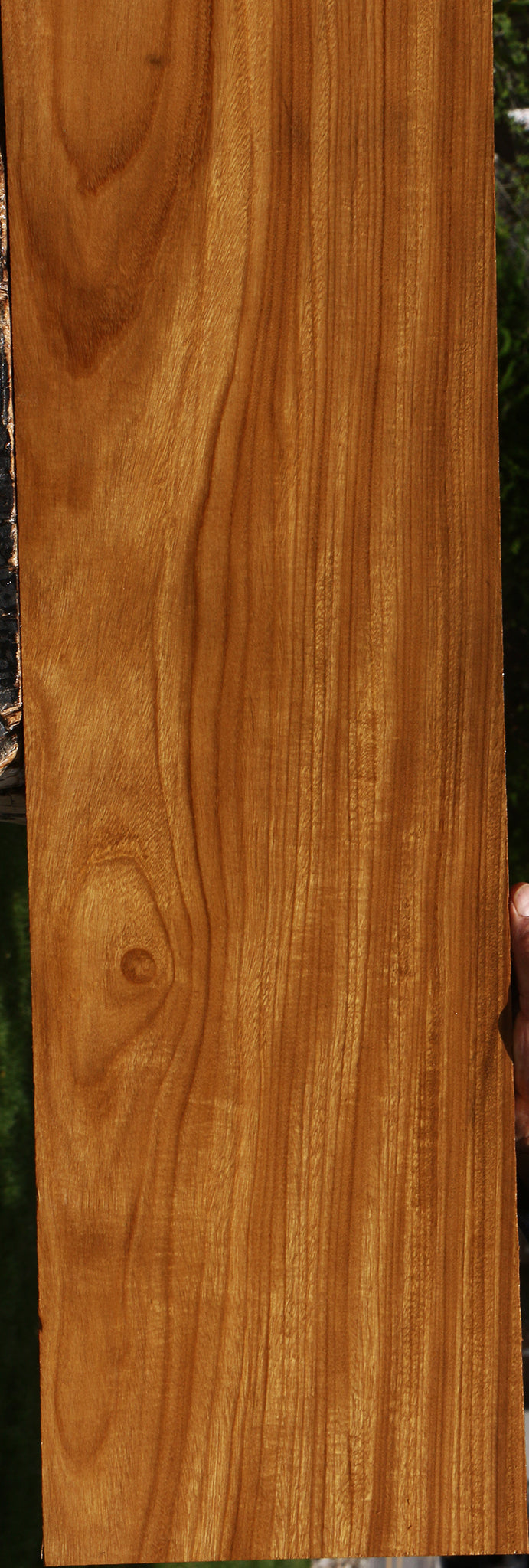Figured Afrormosia Lumber