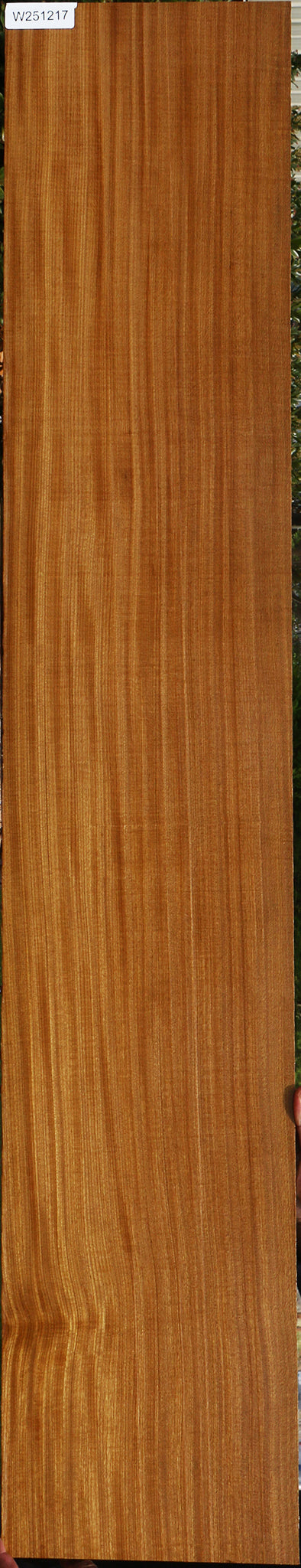 Extra Fancy Quartersawn Afrormosia Lumber