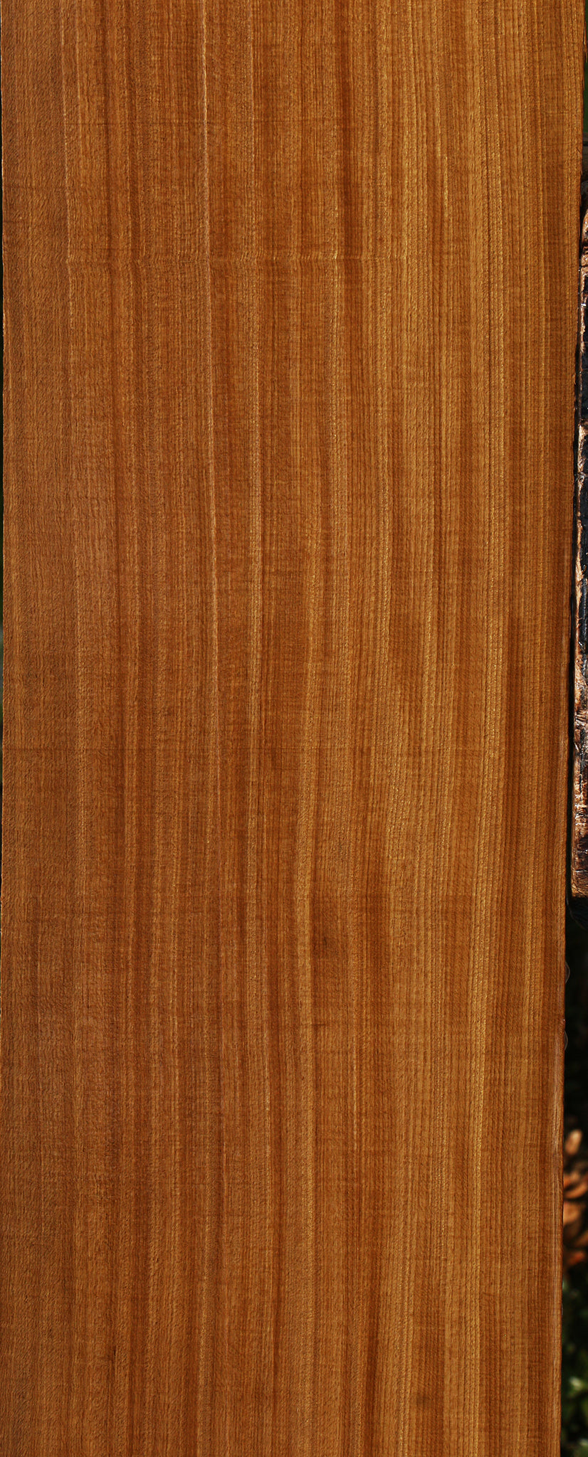 Extra Fancy Quartersawn Afrormosia Lumber
