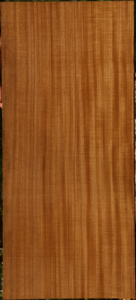 Figured Quartersawn Afrormosia Lumber
