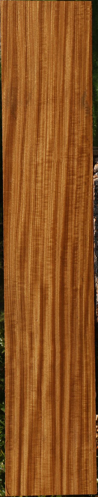 Figured Quartersawn Afrormosia Lumber