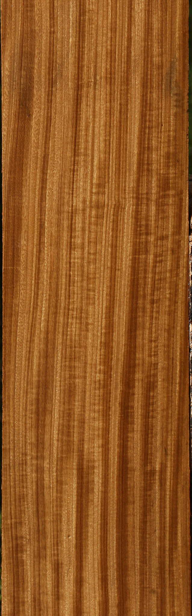 Figured Quartersawn Afrormosia Lumber