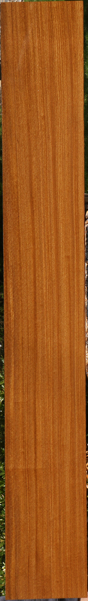 Afrormosia Lumber