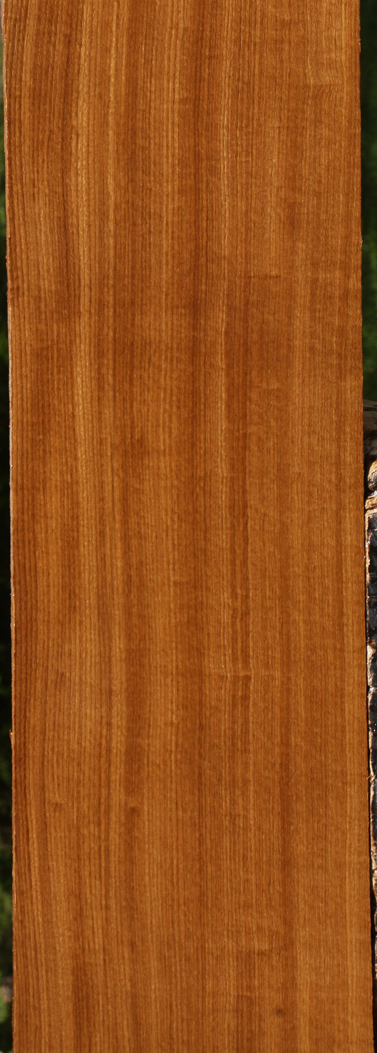 Quartersawn Afrormosia Lumber