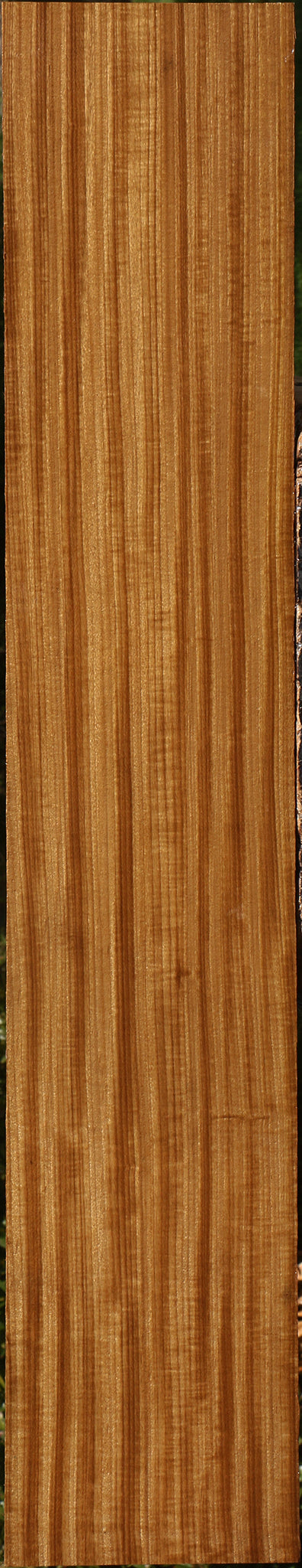 Extra Fancy Quartersawn Afrormosia Lumber