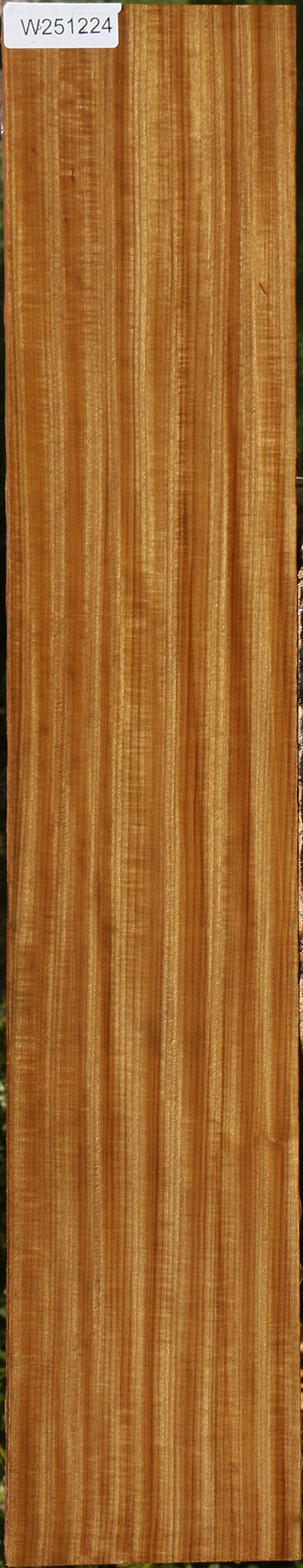 Extra Fancy Quartersawn Afrormosia Lumber