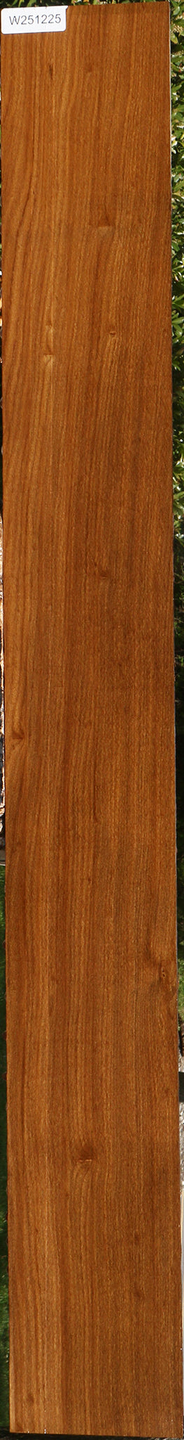 Afrormosia Lumber