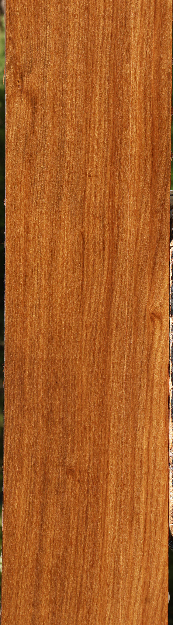 Afrormosia Lumber