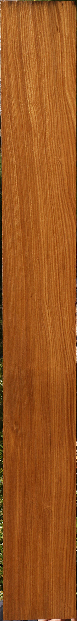 Afrormosia Lumber