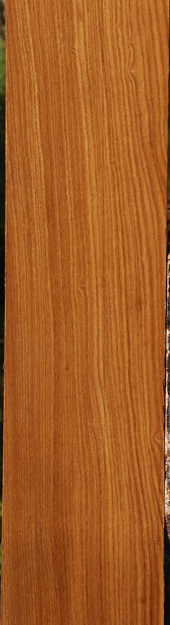 Afrormosia Lumber