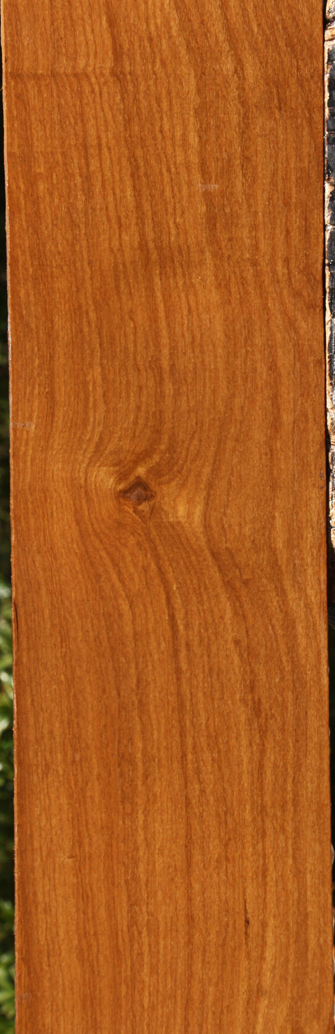 Afrormosia Lumber