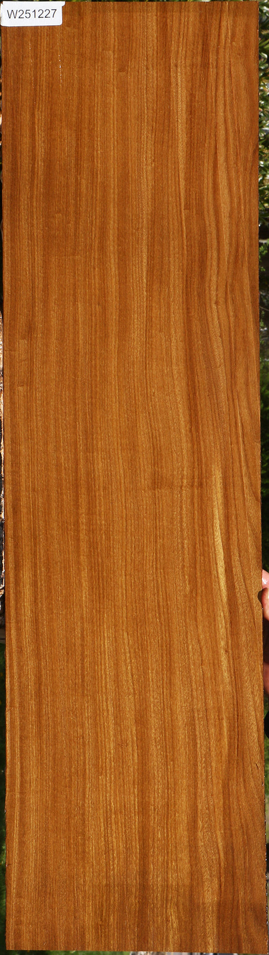 Afrormosia Lumber