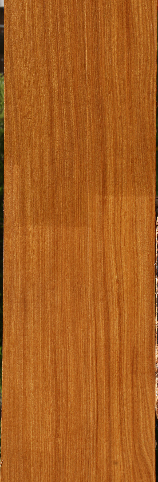 Afrormosia Lumber