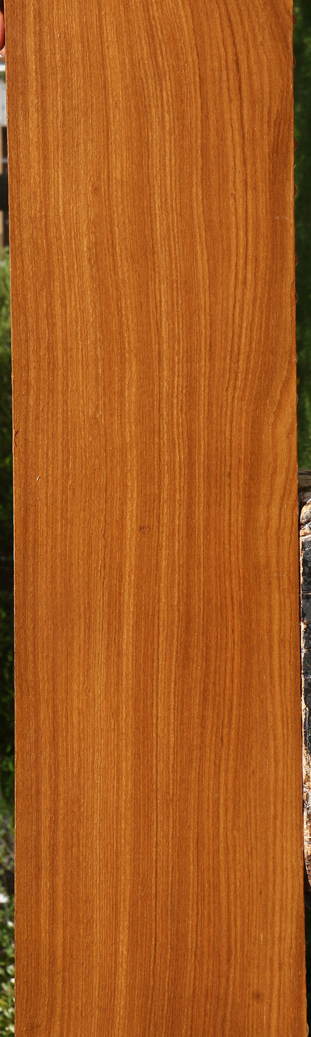 Afrormosia Lumber