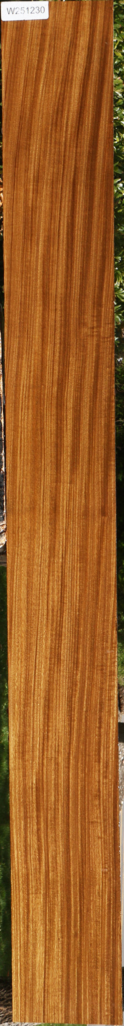 Figured Quartersawn Afrormosia Lumber