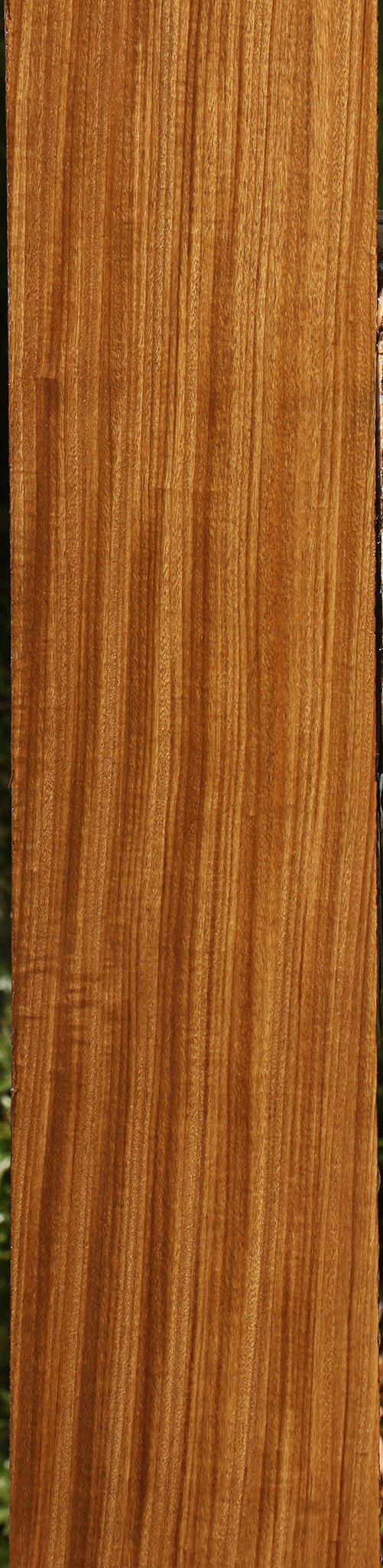 Figured Quartersawn Afrormosia Lumber